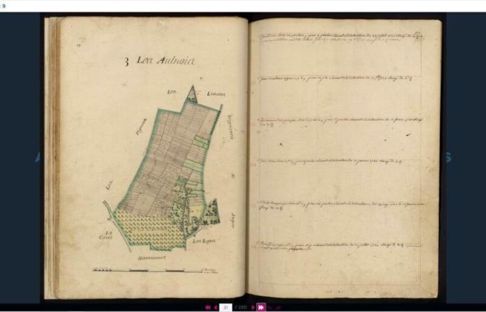 Gli Archivi Yvelines mettono online una nuova tana