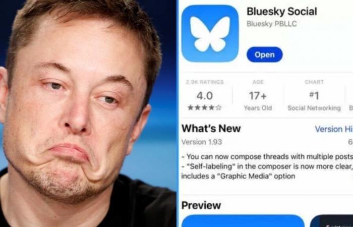 Bluesky crolla mentre X di Elon Musk affronta l'esodo, con Hollywood che cambia posizione; Elton John, Whoopi Goldberg…