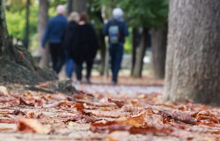 Sole e temperature in calo prima del ritorno della pioggia dal Nord: il meteo del fine settimana in Francia