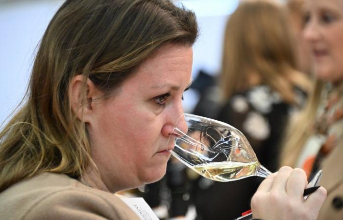 Vini della Borgogna: benvenuti nel regno delle degustazioni di piacere a Beaune