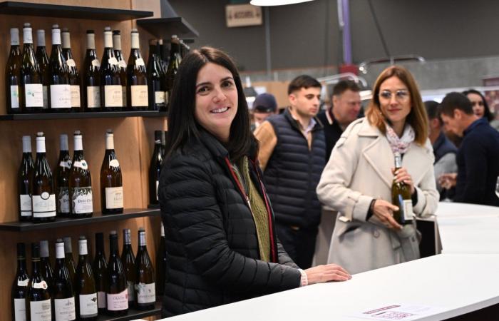 Vini della Borgogna: benvenuti nel regno delle degustazioni di piacere a Beaune