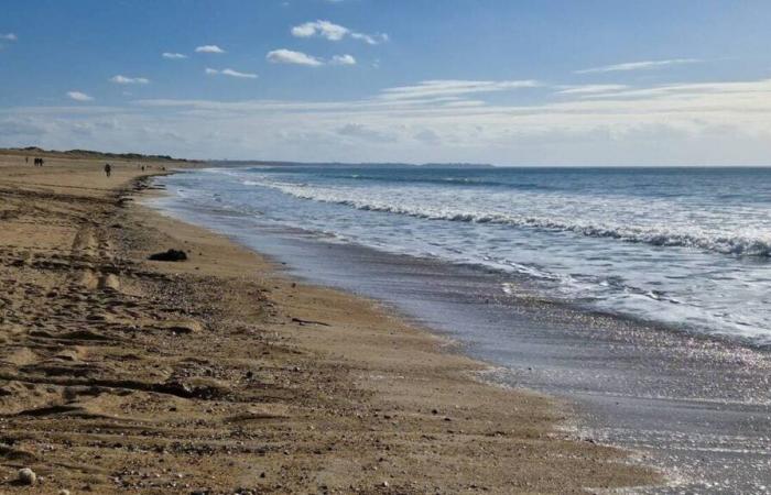 Coutances Mare e bocage vogliono accelerare, un comune gioca “il granello di sabbia”