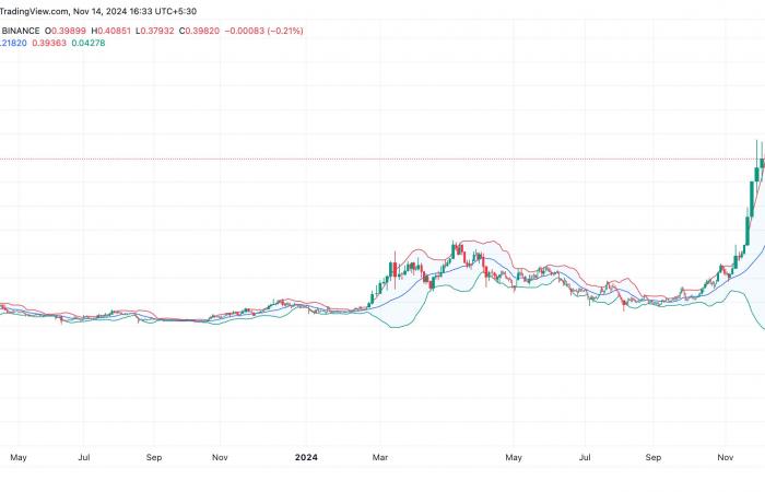 Dogecoin affronta un rallentamento: previsto calo?