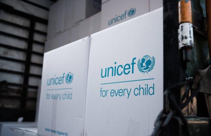 Infermiera dell'UNICEF fugge dopo sei anni di prigionia con i jihadisti