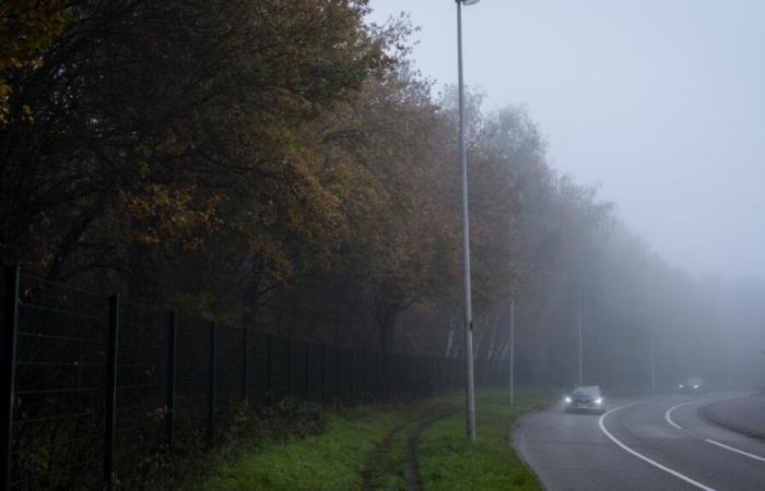 Nebbia, temperature in calo… ecco le previsioni meteo per i prossimi giorni