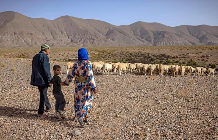 In Marocco famiglie più piccole e più urbane, secondo l’ultimo censimento