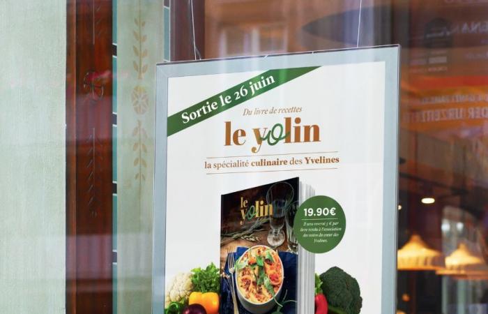 Ricette dei 259 comuni di Yvelines nel libro Yolin