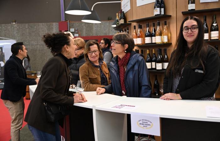 Vini della Borgogna: benvenuti nel regno delle degustazioni di piacere a Beaune