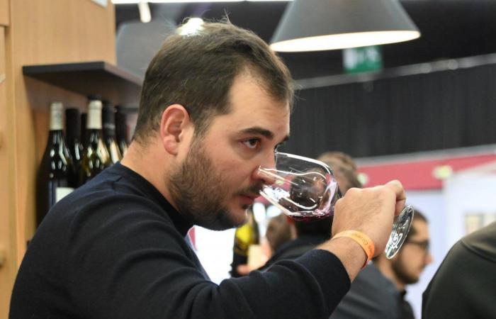 Vini della Borgogna: benvenuti nel regno delle degustazioni di piacere a Beaune