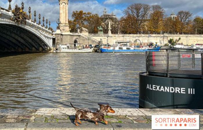 Paris Sausage Walk 2024: la passeggiata dei bassotti torna nella capitale questo fine settimana!