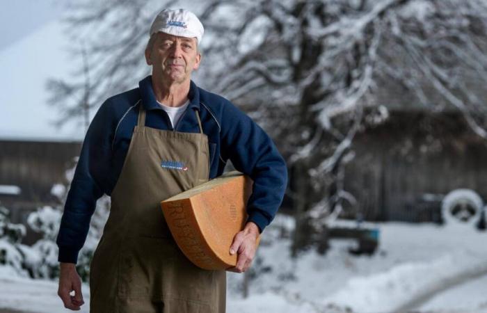 I World Cheese Awards a Berna, trampolino di lancio internazionale per i casari svizzeri