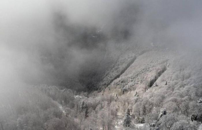 In “Nevica sul pianista”, Claudie Hunzinger cattura, attraverso le parole ma non solo, una volpe e un musicista