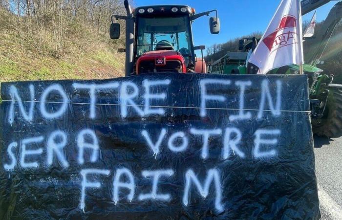 “I nostri agricoltori non se la passano bene nella Mosella”, stima Laurence Adloff della MSA della Lorena