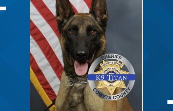 Coweta K-9 ucciso, vice ferito; sospetto colpito a morte