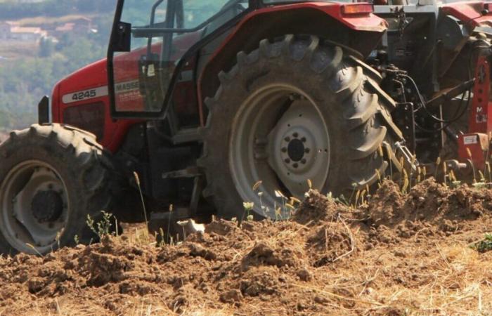 un agricoltore schiacciato mortalmente dal suo trattore