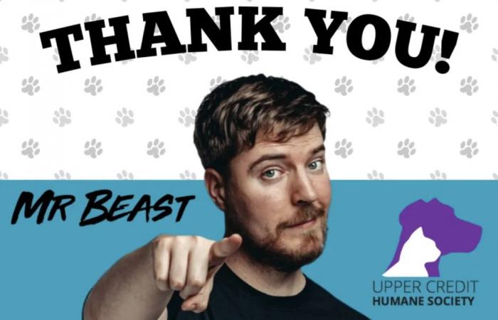 La superstar di YouTube MrBeast fa una donazione alla società umanitaria locale