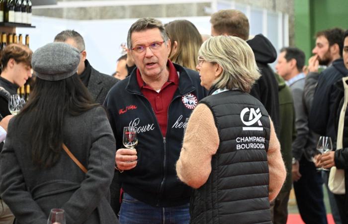 Vini della Borgogna: benvenuti nel regno delle degustazioni di piacere a Beaune