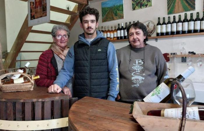 Gironda: a 19 anni, Nicolas David sceglie di rilevare l'azienda vinicola di suo padre a Escoussans