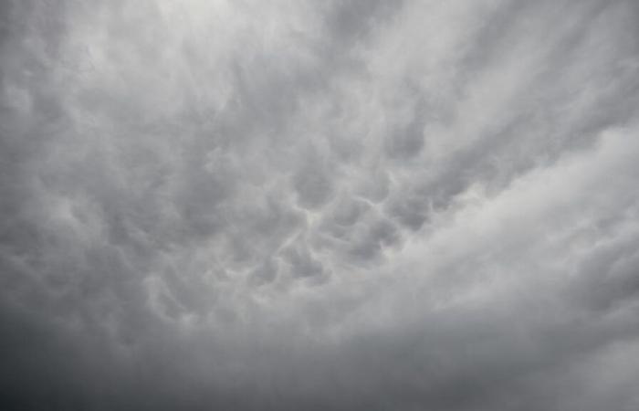 METEO: Che tempo farà questo fine settimana nel Nord e nel Passo di Calais?