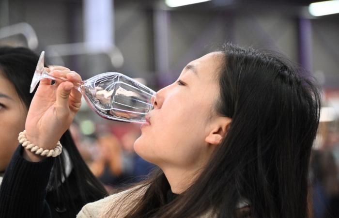 Vini della Borgogna: benvenuti nel regno delle degustazioni di piacere a Beaune