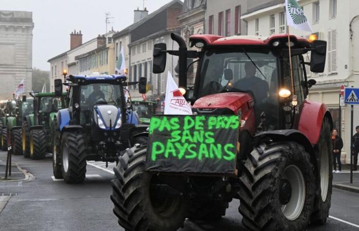 Perché la rabbia si sta diffondendo di nuovo tra gli agricoltori