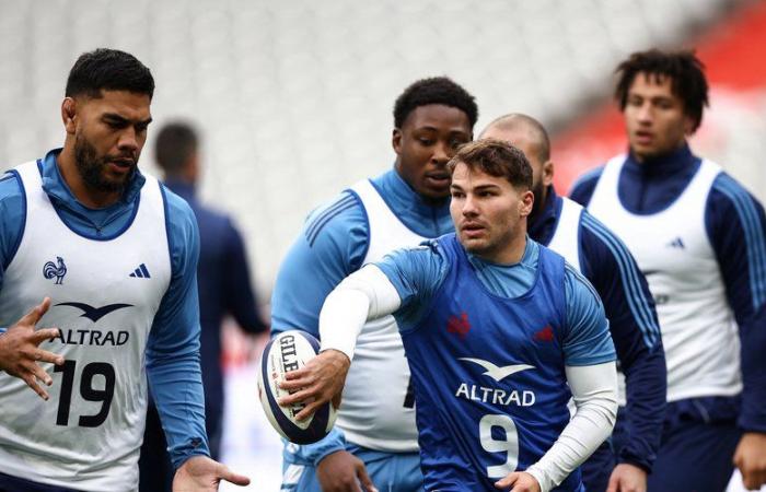 Francia – Nuova Zelanda: per Antoine Dupont gli All Blacks sono tornati “al miglior livello degli ultimi anni”