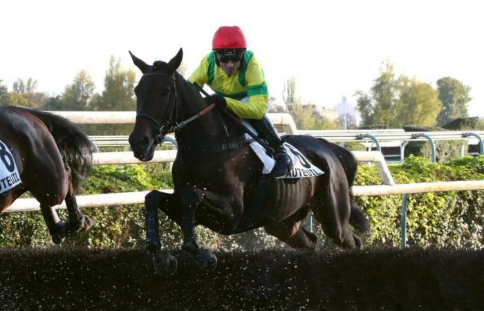 Domenica ad Auteuil – Premio Bernard Secly: Attenzione a \”Nicolle\”