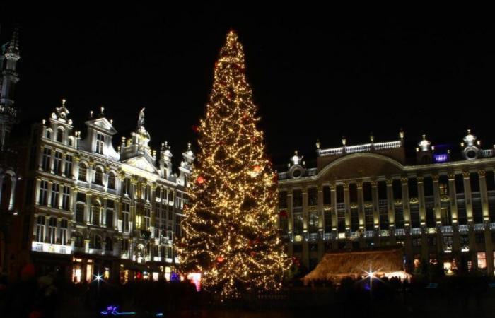 Quest’anno c’è qualcosa di nuovo sull’albero della Grand-Place