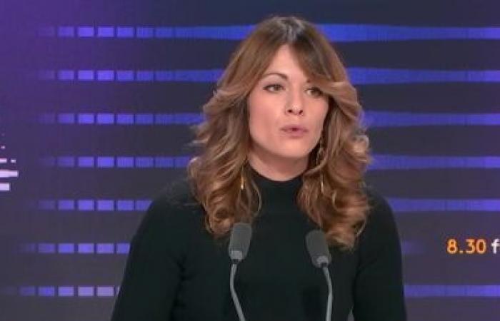 “Diamo il benvenuto” a questo accordo, reagisce Maud Bregeon, portavoce del governo