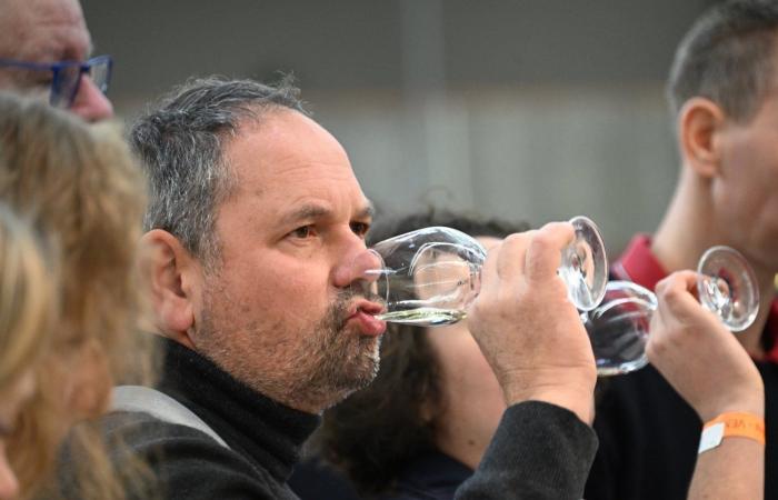 Vini della Borgogna: benvenuti nel regno delle degustazioni di piacere a Beaune