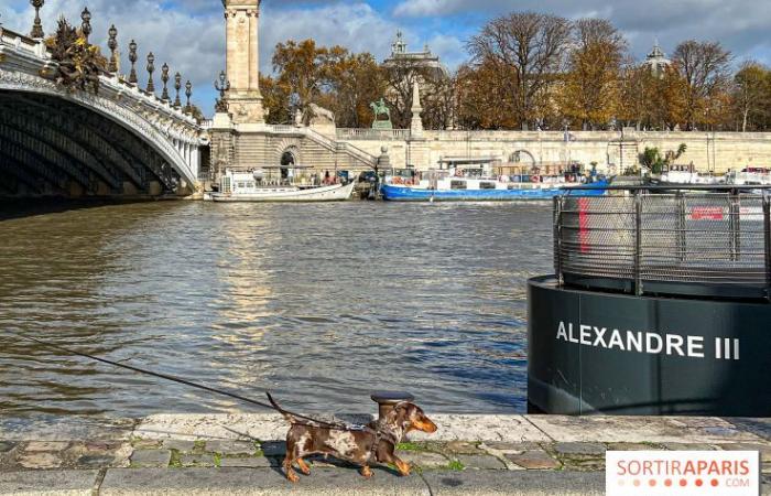 Paris Sausage Walk 2024: la passeggiata dei bassotti torna nella capitale questo fine settimana!