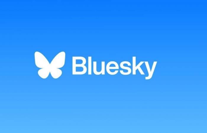 Il rivale di X, Bluesky, guadagna un milione di utenti in 24 ore