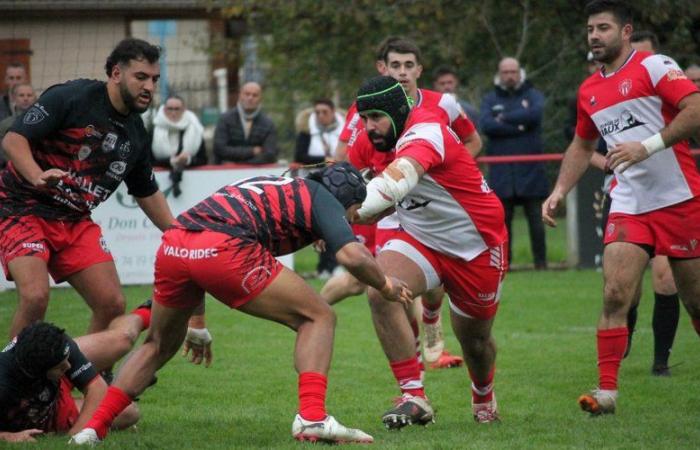 Rugby amatoriale (Federal 3). L'americano Tarascon-sur-Ariège sfida La Salveta/Plaisance in un match decisivo per il mantenimento