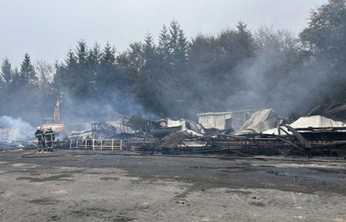 Primo produttore di alberi di Natale in Francia, il suo magazzino è devastato da un incendio: “tutto è svanito”