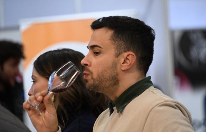 Vini della Borgogna: benvenuti nel regno delle degustazioni di piacere a Beaune