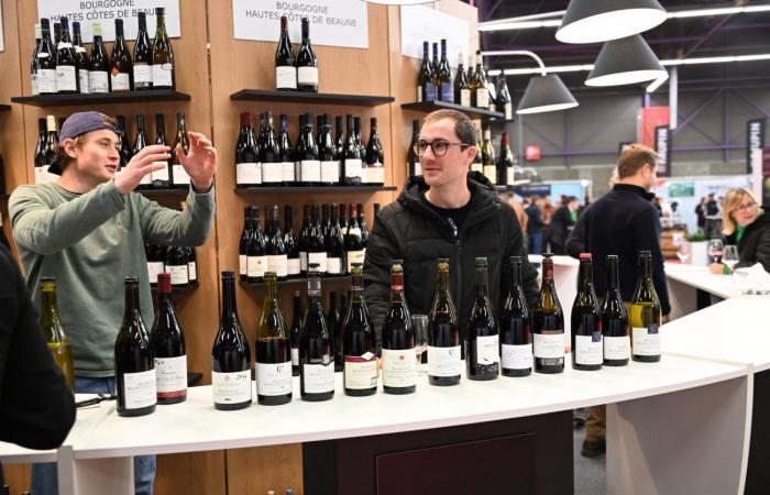 Vini della Borgogna: benvenuti nel regno delle degustazioni di piacere a Beaune