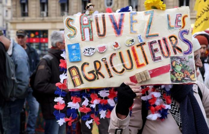 L'associazione Solidarité Paysans 30 ascolta gli agricoltori in difficoltà del Gard