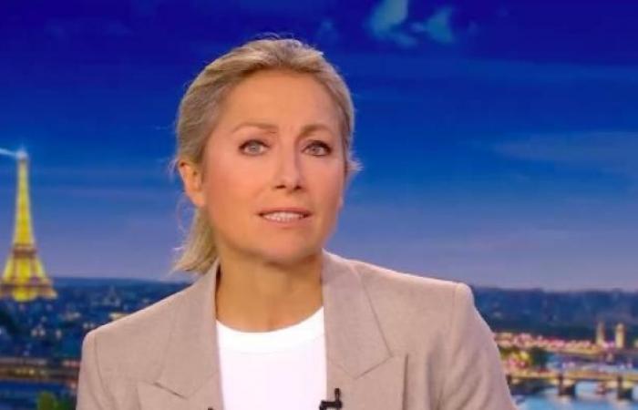 Pubblico 20:00: Anne-Sophie Lapix ancora in rosso ieri sera con meno di 3,9 milioni su France 2 mentre Gilles Bouleau registra 5,3 milioni di telespettatori su TF1