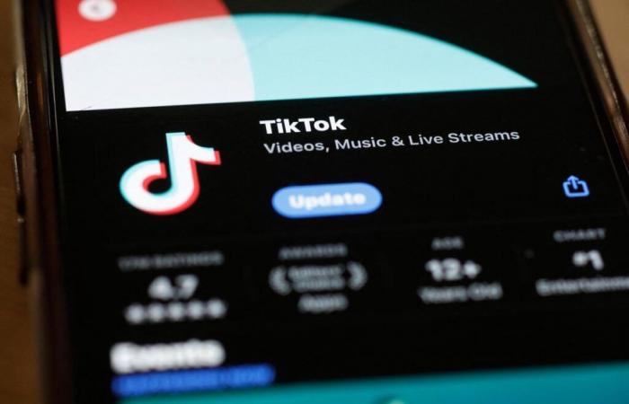 Tecnologia: TikTok lancia uno strumento AI per creare annunci su richiesta