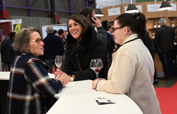 Vini della Borgogna: benvenuti nel regno delle degustazioni di piacere a Beaune