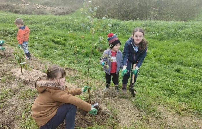 Prime lezioni di giardinaggio alla Val des Écoliers a Lassay-les-Châteaux