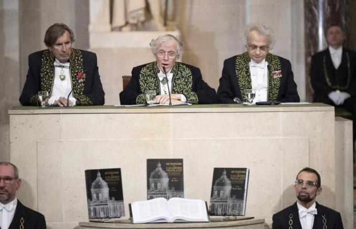 Perché il dizionario dell’Accademia di Francia, che femminilizza finalmente le funzioni, è “già obsoleto”