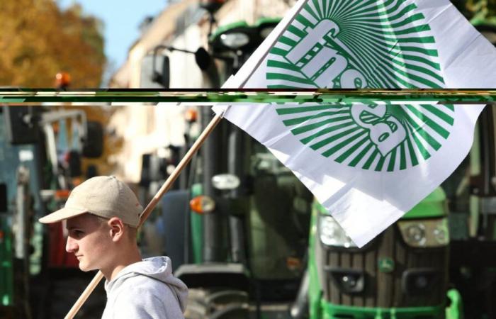 una manifestazione prevista lunedì nel Basso Reno, il ponte Europa “totalmente bloccato”