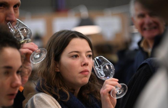 Vini della Borgogna: benvenuti nel regno delle degustazioni di piacere a Beaune