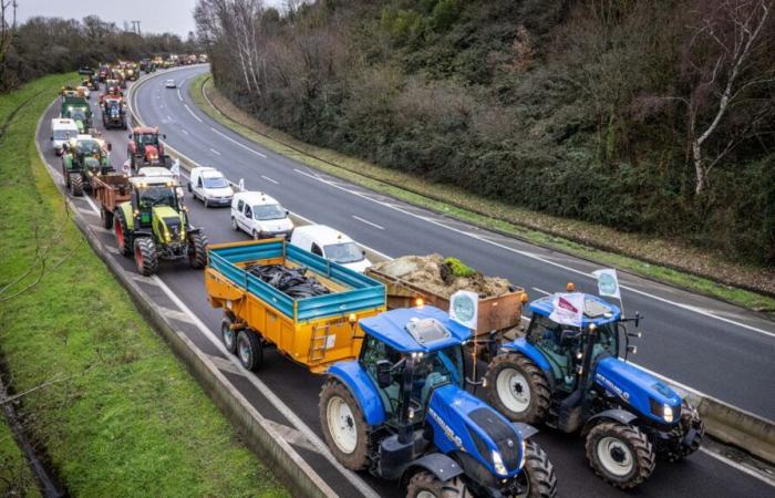 un barbecue gigante e operazioni di lumache con 80 trattori agricoli