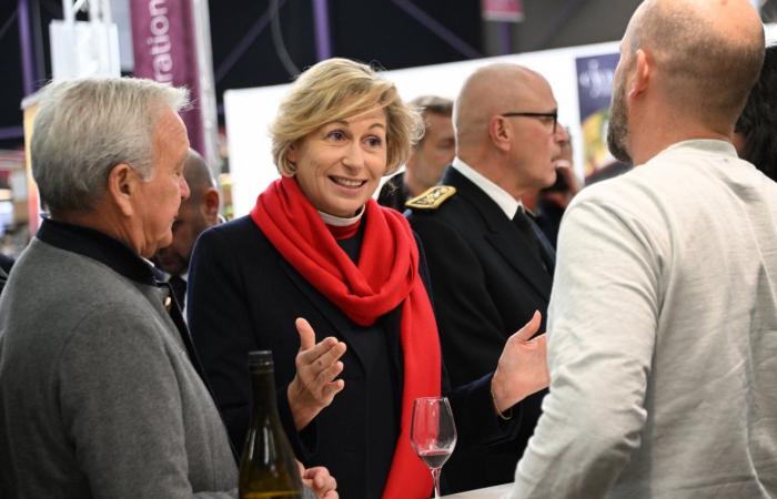 Vini della Borgogna: benvenuti nel regno delle degustazioni di piacere a Beaune