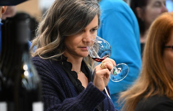 Vini della Borgogna: benvenuti nel regno delle degustazioni di piacere a Beaune