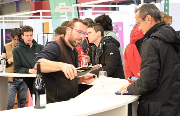 Vini della Borgogna: benvenuti nel regno delle degustazioni di piacere a Beaune