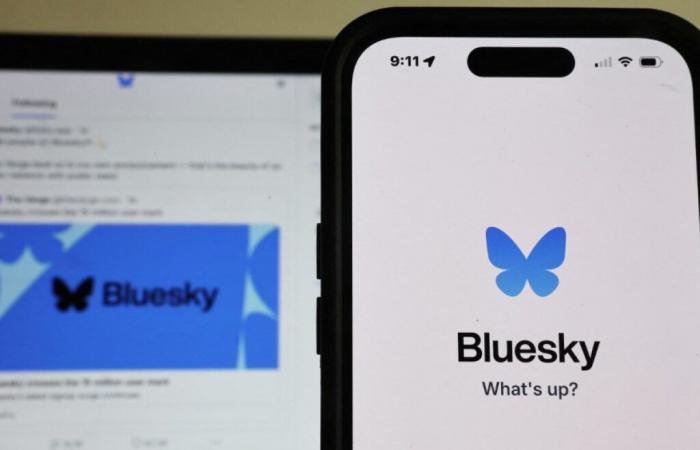 Social network: Bluesky guadagna 1 milione di utenti in 24 ore, segno di sfiducia verso X di Elon Musk – 15/11/2024 ore 13:50