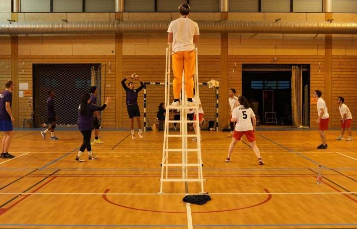 Sport Universitario: 3 medaglie d'oro nel Basket, Calcio e Pallamano per gli studenti del Le Creusot